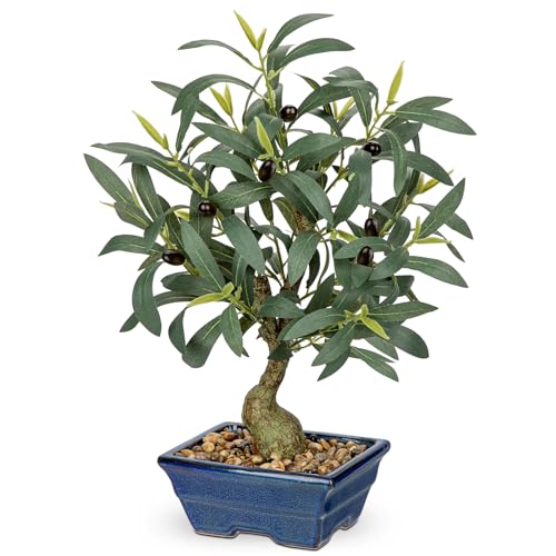 Briful Small Olive Trees Artificial Decor 18'' Fake Olive Plant with Blue Bonsai Pot Decorative...