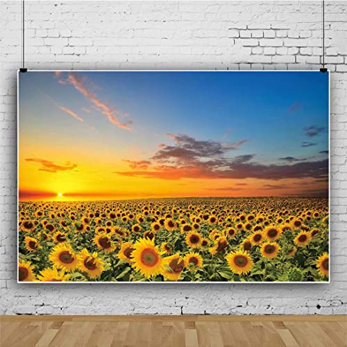 Fondo Fotográfico de Girasoles 5x3ft Vinilo miniatura 2