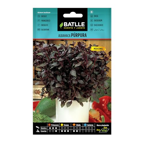 Graines aromatiques de Batlle - Basilic pourpre (2g), violet