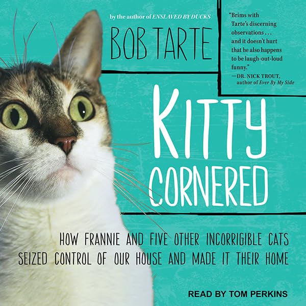 Cover art for Kitty Cornered