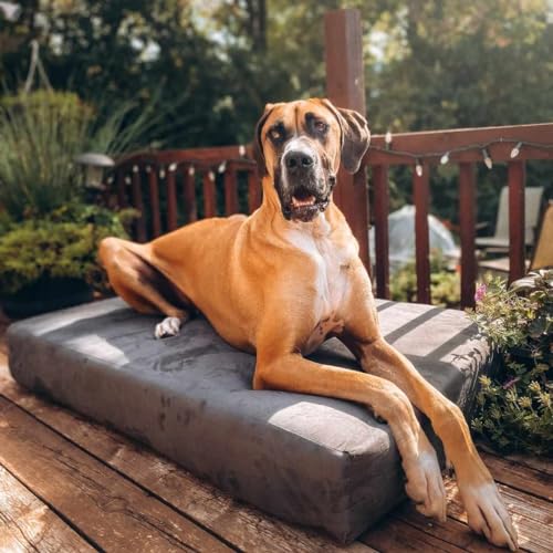 Image of Barker Beds XL Orthopedic Dog Bed - 7 inch Memory Foam Mattress - 75-120 lbs - Joint Pain & Arthritis Support - Vet Recommended, Washable Cover - Made in USA - 52 inchx36 inchx7 inch - Charcoal