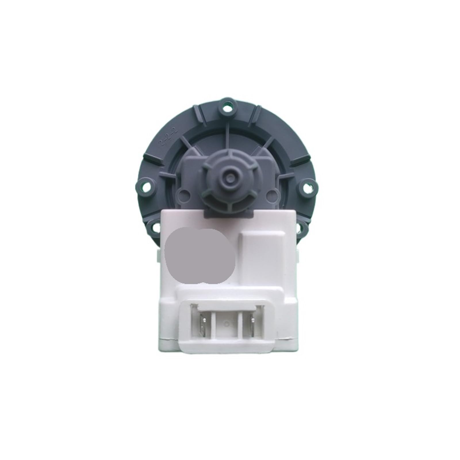 Pompa scarico RG100DS1428, Compatibile con Hisense