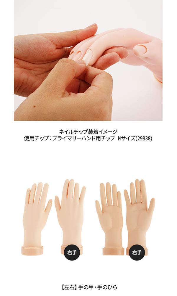 認定モデルハンド　ネイル練習用手 肌色 2個セット 認定モデルハンド ネイル練習用手 肌色 2個セット 認定モデル