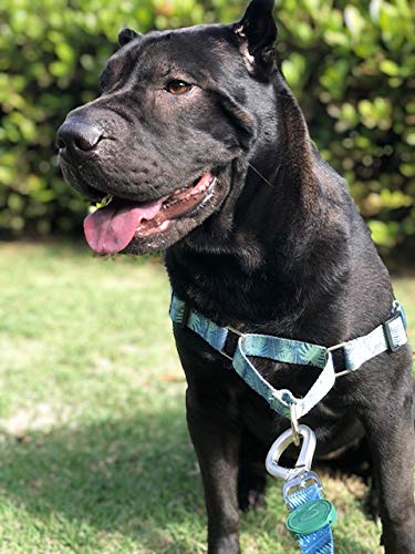 Peitoral Para Cachorros dog27 Tropical Tamanho:G