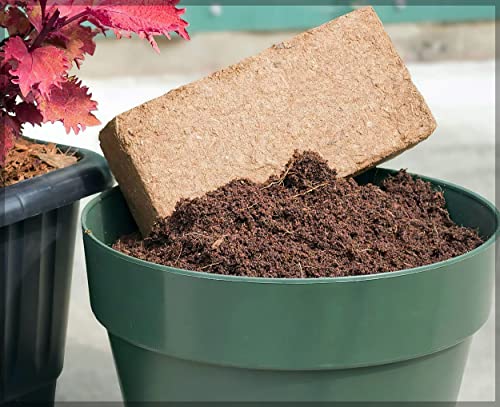 Image of Coir Block /Cocopeat Block - 650 Grams | Expands up to 3.5 Liters | Coconut Coir | Garden Manure | Organic Fertilizer | Compost for Gardening | | Natural Soil Mix- Gardenhunt (Pack of 1 No)