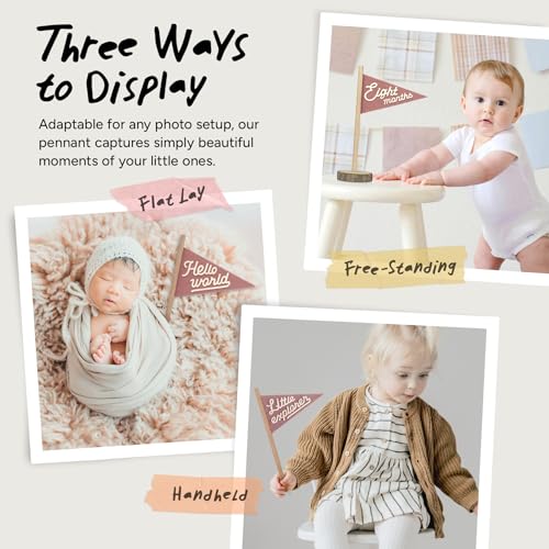 Image of Baby Monthly Milestone Pennant Flag Signs | Natural Wood and Soft Felt | Baby First Year Photo Props, Nursery Decor, Newborn Birth Announcement, Baby Shower, Newborn Gift, Pregnancy Journey, Keepsake (Pink)