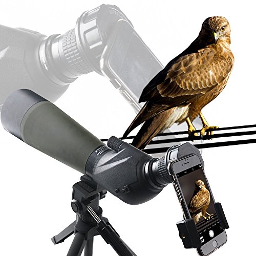 image for SOLOMARK Cell Phone Adapter Mount – Compatible with Binocular Monocu