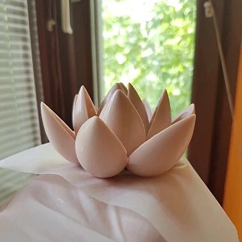 Chocolate Mould Olive Shaped Polycarbonate Chocolate Mold 3D Candy Mold #TOP6