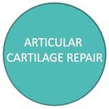 articulaciones cartilaginosas tipos Medical procedures articular cartilage repair