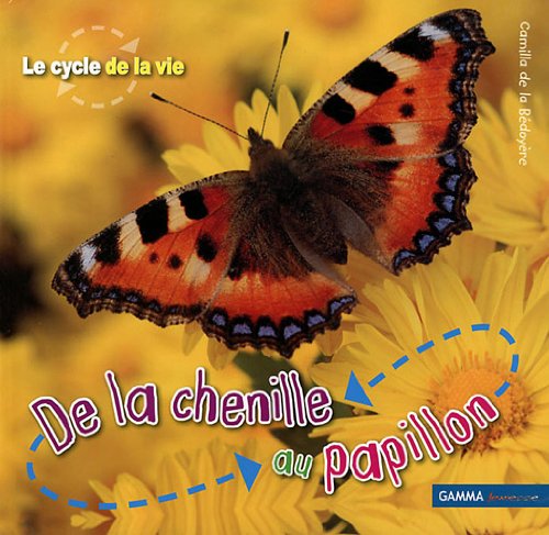 Télécharger De la chenille au papillon PDF