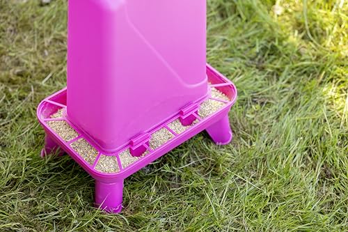 Kerbl Hobbyfarming Futterautomat mit Standfüßen, Automatische Futterzufuhr, Inkl. Standfüße, Abnehmbarer Deckel, Wetterbeständig, Leichte Reinigung, Transparenter Behälter, Für Geflügel, 5,5l, pink