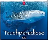 Tauchparadiese: Original Stürtz-Kalender 2020 - Großformat-Kalender 60 x 48 cm