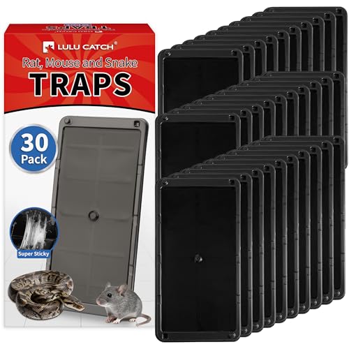 Image of LULUCATCH Mouse Traps 30 Pack, Larger Heavier Glue Traps for Mice, Rat & Snakes, Non-Toxic Sticky Mouse Traps Indoor for Home & Kitchen, Easy to Set