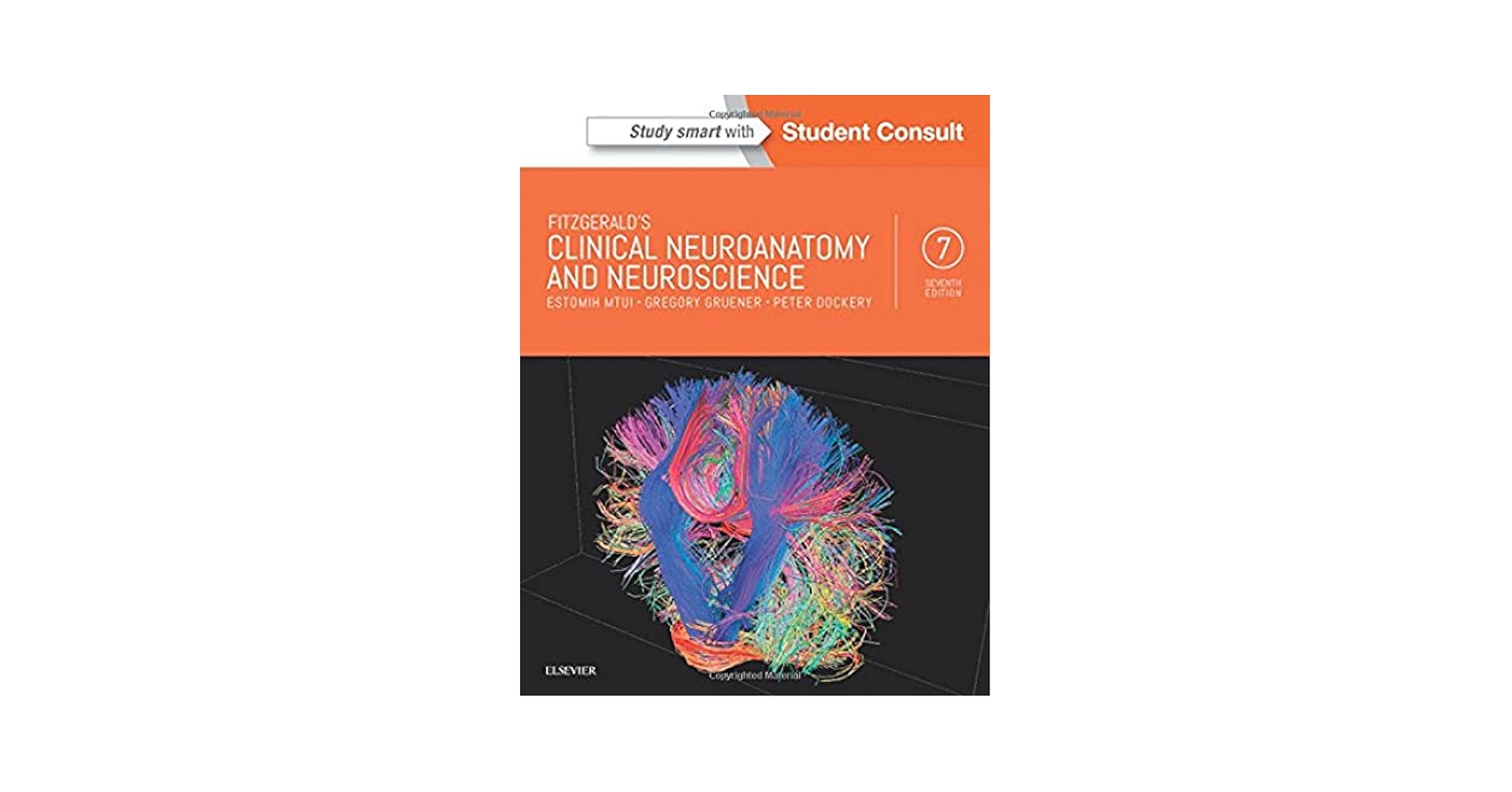 Clinical Neuroanatomy 第7版 Fitzgerald's Clinical Neuroanatomy and Neuroscience