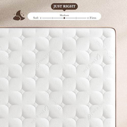 Mattress Queen Size 14 Inch - Firm Hybrid Bed in a Box for Couples & Light Sleepers, 366-Night Trial, Pocket Spring Mattress for Back Pain Relief & Motion Isolation, CertiPUR-US Certified