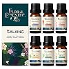 Bloemen Etherische Oliën 6x10ml, SALKING 100% Puur Essentiële oliën, Aromatherapie Geurende Oliën, Geur Olie Set voor…