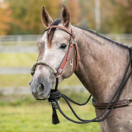 Billy Royal Schneiders Bosal Set W Futurity Headstall | Color Dark Oil/Black | Complete Show Ring Set | Grade A Leather | Basket Weave Tooling | 12 Plait Rawhide Bosal | Stylish Accents