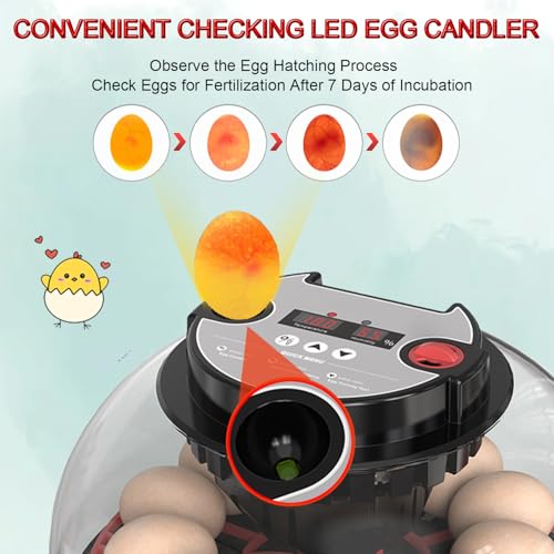 Incubators for Hatching Eggs, 12 Egg Incubator with Automatic Egg Turning and Humidity Control, Incubator for Chicken, Quail, Duck, Goose, Parrot Eggs for Home, Farm, Lab Use