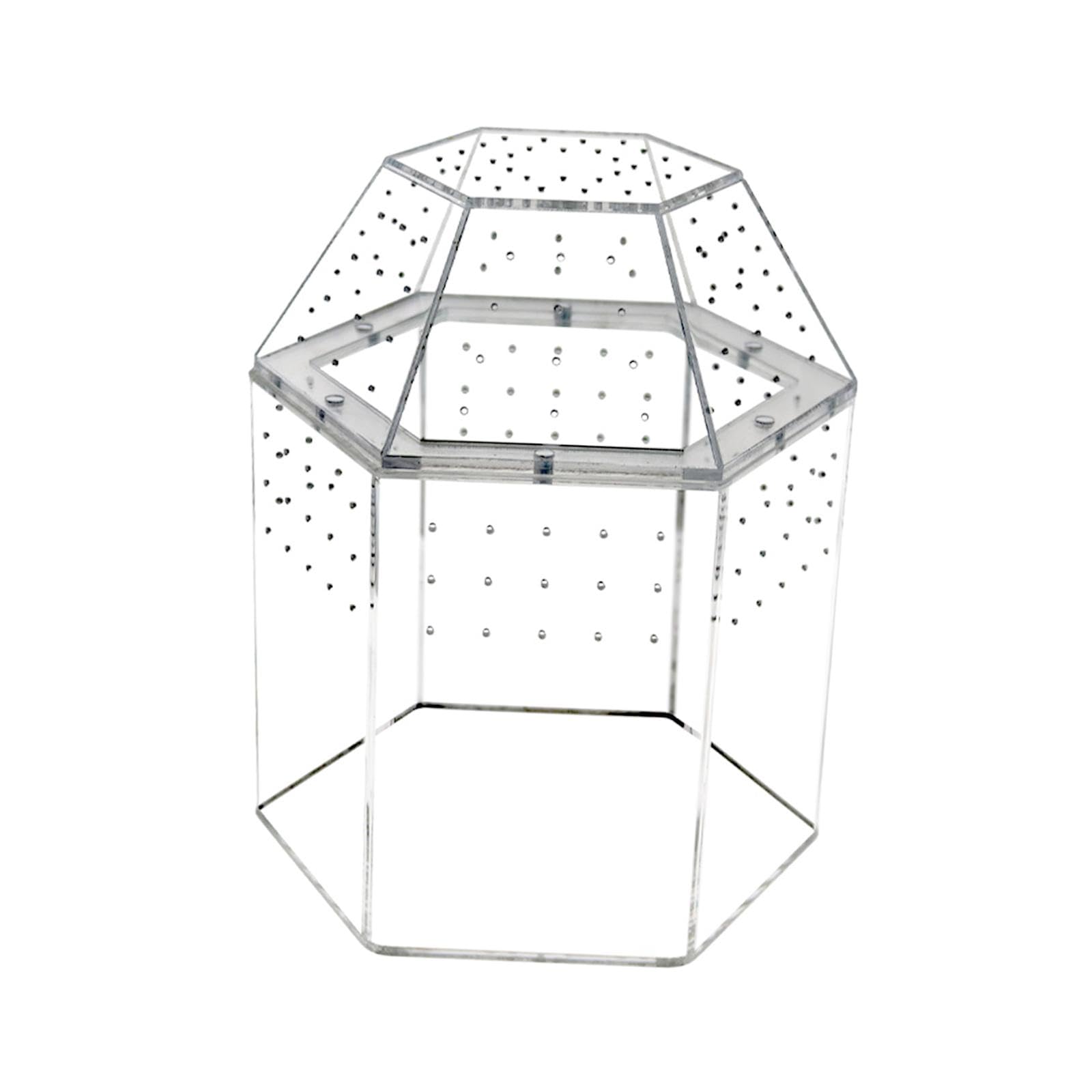 Reptilien Terrarium mit Mehrlochbelüftung, Kleinem Acryl Futternapf, Transparentem Aquarium Und Zubehör – Ideal für