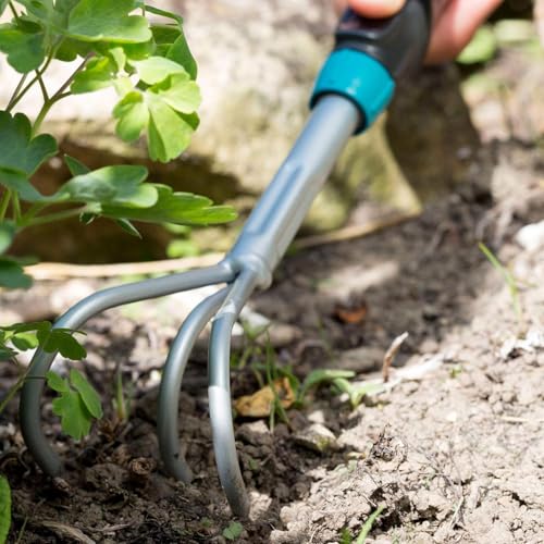 Griffe piocheuse - vue 8