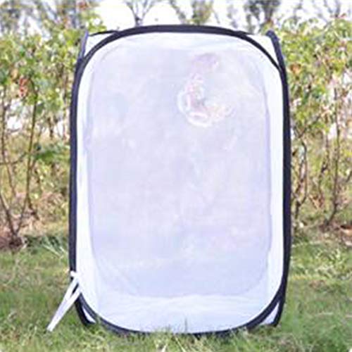 Wpond Insect and Butterfly Habitat Cage Diaphanous Collapsible Insect Observation Cage Tool white m