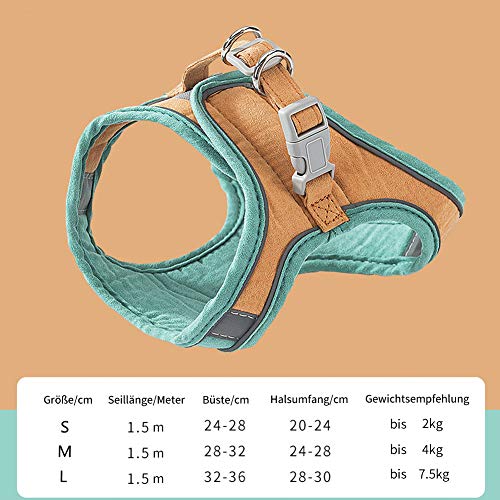 All--In Pettorina per gatti con guinzaglio