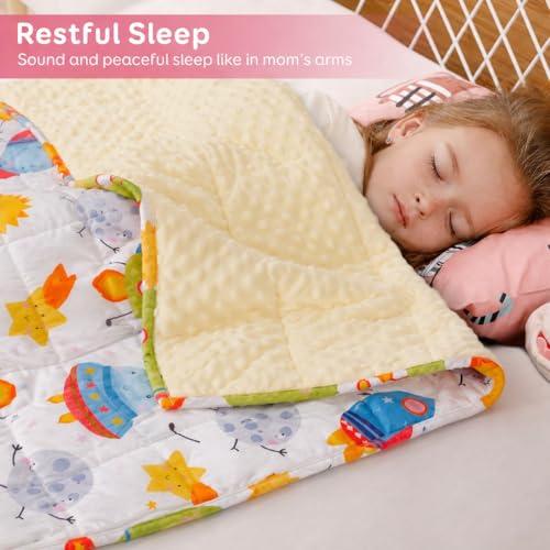 Image of Sivio Minky Dotted Weighted Blanket, Super Soft Crystal Velvet Reversible Heavy Blanket with Cute Cartoon Patterns, 5 lbs, 36x48 Inch, Pink Unicorn