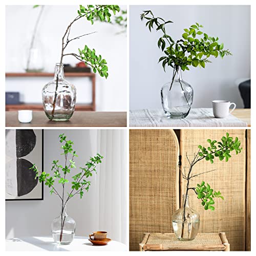 Clear Glass Vase for Decor, Big Belly Bubble Flower Bottle for Home Countertop, Shelf, Centerpiece and Shelf Decoration(6.3x6.3x10 In) - Image 6