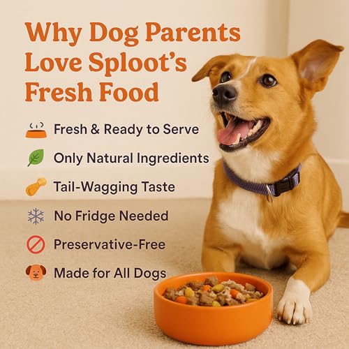 Image of Wet Dog Food - Chicken and Brown Rice Gravy Meal for Pets - Dog Food Adult and Puppy - Real Chicken, High Protein, Fresh Ingredients - Ready to eat Meal - 100g x 3
