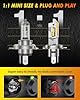 Termitor H4/9003/HB2 Light Bulbs, 50,000LM Ultra Brighter, 6500K Cool White, 70000Hrs Long Life with Cooling Fan, 1:1 Halogen Size, Plug and Play, H4 Fog Lights Bulbs, Pack of 2 #3