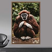 Framed Canvas Wall Art Monkey Animals Expressive Farmhouse/Country Living Room Monkey Multicolor Photography - 16x24 inches