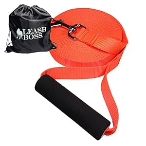 Leashboss-Free-Range-Dog-Training-Leash-for-Large-Dogs-1-Inch-Heavy-Duty-Nylon-Extra-Long-Training-Lead-with-Padded-Handle-Bright-Orange Dog Training Leash for Large Dogs