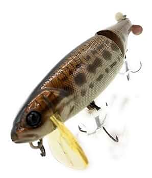 JACKALL - ビッグベイトセット JOINT & BIG BAIT - FRESH WATER バス釣り ｜JACKALL