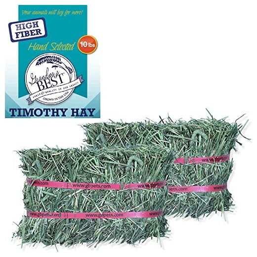 Grandpa's Best Timothy Hay Mini Bale, 10 Lbs (Packaging may vary),Brown