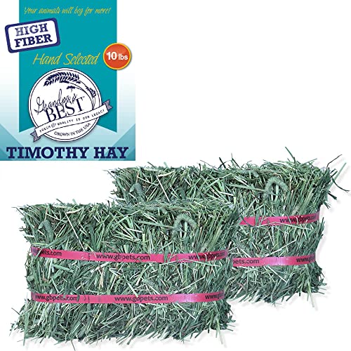 Grandpa's Best Timothy Hay Mini Bale, 10 Lbs (Packaging may vary),Brown