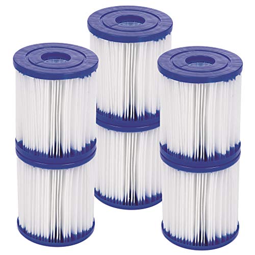 POOL FILTER CARTG I 2PK