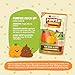 Weruva Pumpkin Patch Up! Pumpkin Puree Pet Food Supplement for Dogs & Cats, 1.05oz Pouch (Pack of 12)