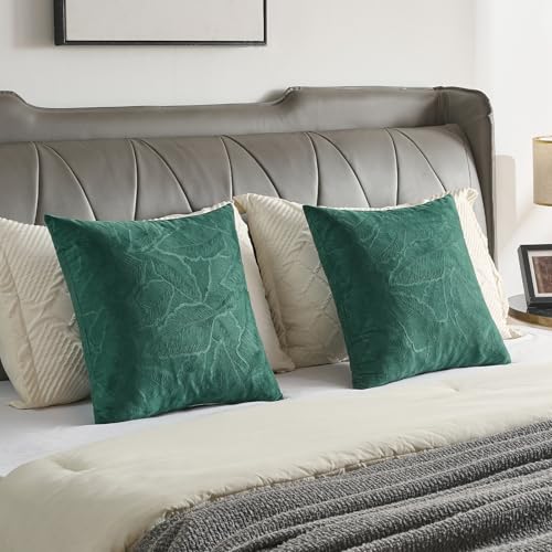 Image of FUTEI Pack of 2 Velvet Throw Pillow Covers 20x20 Inch Soft Embossed Leaf-Relief Textured Decorative Cushion Cases Modern Natural Farmhouse Accent for Couch Bed Living Room, Dark Green