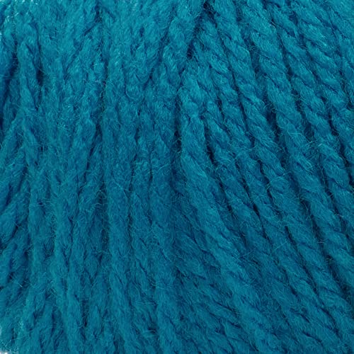 Image of Red Heart Super Saver Yarn - Pool