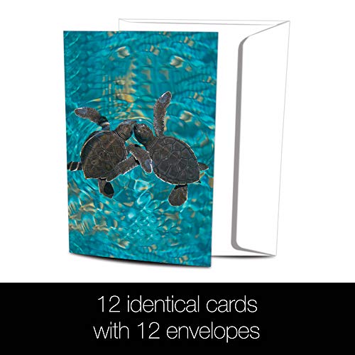 Tree-Free Greetings Econotes 12 Count Baby Sea Turtles All Occasion Notecard Set With Envelopes, 4 X 6 Inches (Fs56932) #TOP2