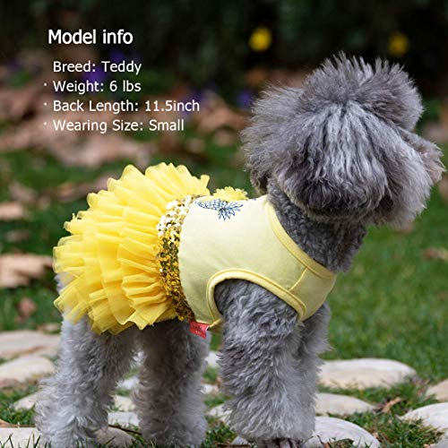 Kyeese Dogs Dress Pineapple Yellow Tiered Dogs Beach Small Dog Dresses With Sequins #TOP5
