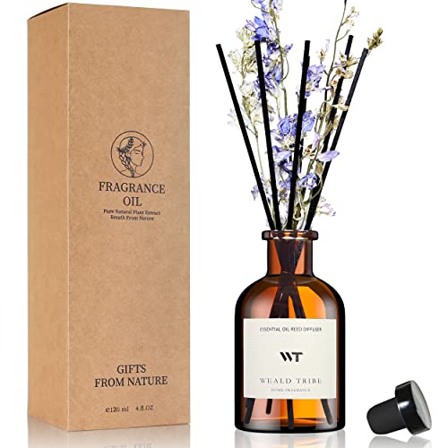 List of Ten Best Home Air Freshener [Top Picks 2023 Reviews]