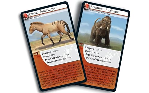 Défis Nature Animaux préhistoriques - vue 5
