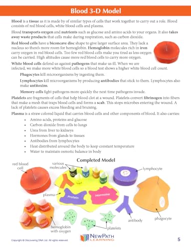 Image of NewPath Blood 3-D Paper Model Making Kit - Individual Student Edition (24-7780)