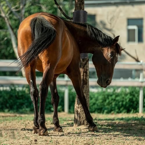 Kit de 2 rascadores para ganado y caballos miniatura 4