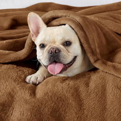 Image of Bedsure GentleSoft Brown Throw Blanket for Couch - 300GSM Soft Cozy Fleece Blankets for Home Decor Gifts, 50x60 Inches