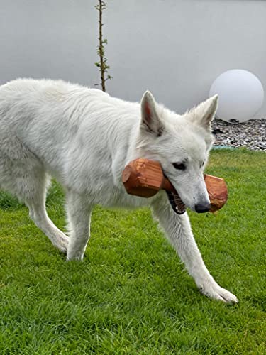 Dingo Apportier Holz aus einem Stück Erlenholz Apport für Gehorsam,Obedience Spiel, Spaß und Hundetraining 150 g 17551
