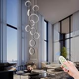 Modern Led Chandelier Lighting,Dimmable with Remote Control 10 Rings Black Pendant Light Adjustable