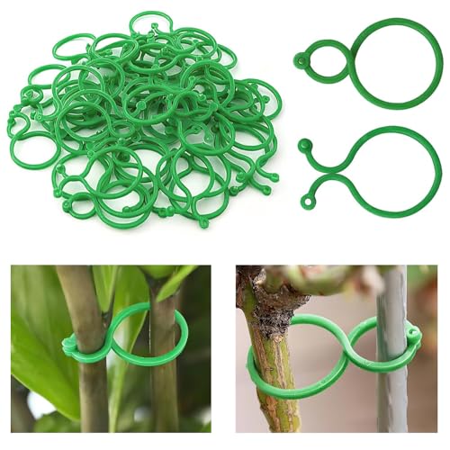 Aikeis Juego de 200 pinzas para plantas, para plantas trepadoras, pinzas para plantas de jardín, adecuadas para tu huerto