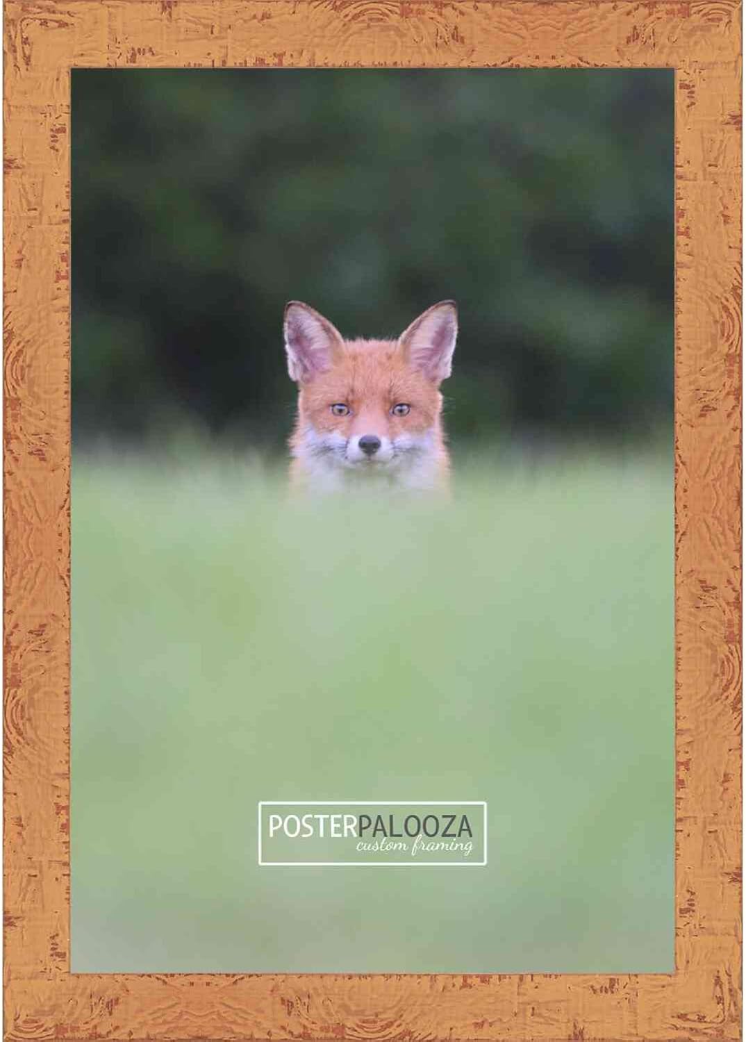 20x40 Shabby Chic/Farmhouse Orange Picture Panoramic Frame - Picture Frame Includes UV Acrylic, Backing, & Hanging Hardware 20" x 40" Panoramic Poster Frame